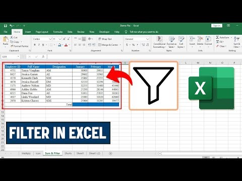How to Create Filter in Microsoft Excel