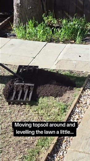 My rear lawn is really bumpy and it also has real dips #bentandwonky #lawn #lawncare #garden #plants
