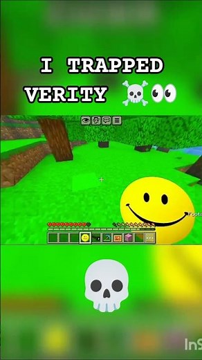 Verity Mod troll moment (Minecraft)☠️😈💀