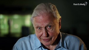 PBS Year In Review 2019