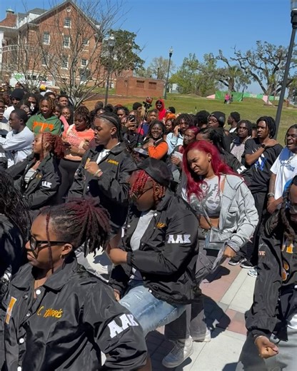 8.7K views · 522 reactions | Florida A&M University on Reels | Facebook