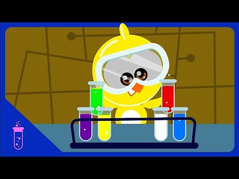 Galinha Pintadinha Mini - Laboratório de Cores - Marrom