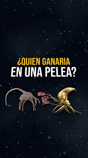 Facehugger (Alien) vs. Flood (Halo) ¿Quién Gana? ¿Quién ganaría en una batalla épica entre dos de los parásitos más aterradores de la ciencia ficción? 裂¿Estás de acuerdo con mi veredicto final? | Bitcave | Facebook
