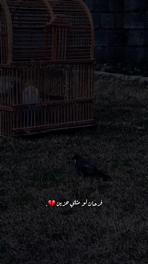 ‏فرحان لو مثلي حزين💔.#تصويري #شاشة_سوداء🖤 #موسيقى