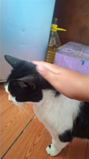 18 de diciembre de 2025