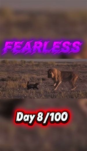 If you were an animal, which one would you be? I would definitely say a honey badger.💫