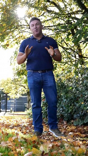 29K views · 50 reactions | Clue #2 for Find the Golden Bear is here… but you’ll need sharp eyes to crack this one!  Tag your hunt buddies below — we’re sending out the full version to a lucky few before its released TODAY! And trust us… you’ll want to see this one first  #FindTheBear #BearCompetitions #Belfast #Viral #Challenge | Bear Competitions | Facebook