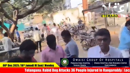1.3K views · 27 reactions | Telangana: Rabid Dog Attacks 36 People Injured In Rangareddy | Locals Panic #telangana #rangareddy #rabid #dog #attack #people #injured #etemaadnews Follow Etemaad Daily Videos On: Facebook : https://www.facebook.com/theetemaaddaily Instagram : https://www.instagram.com/etemaaddaily/ WhatsApp : https://chat.whatsapp.com/BBGtvgIyAjkBo81BqFRTKv WhatsApp Channel : https://whatsapp.com/channel/0029VaeNJpkDeON0crUsoy0R | Etemaad Daily | Facebook