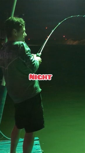 Nighttime pier fishing! Winter time bliss… let’s fish!