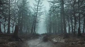 clip-1089265961-looping-walk-through-gloomy-daytime-forest