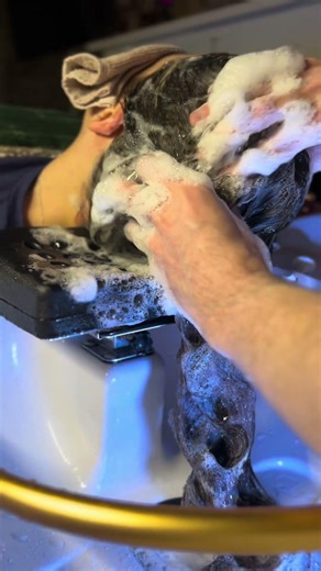 These Sounds Are Addictive 😌🫧 ASMR Shampoo