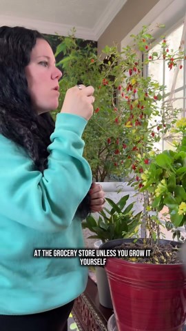 The home garden fruit you should grow