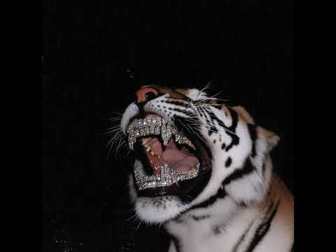 Hstikkytokky LIVE - Desktop bop bop pop top bop