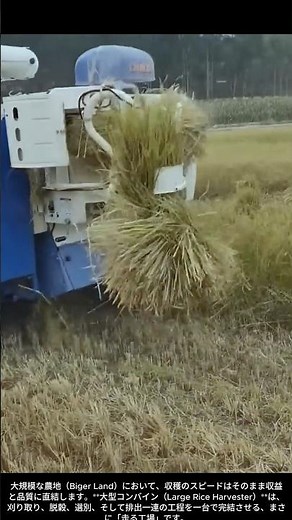 【現場の技術】大型コンバイン収穫機：広大な大地を「黄金の絨毯」に変える効率の極致