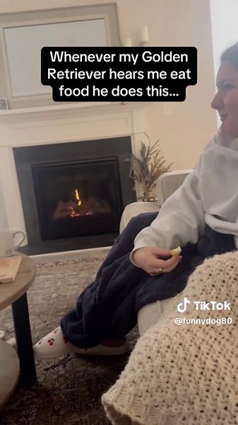 Creative Ways to Call Your Dog Without Sound