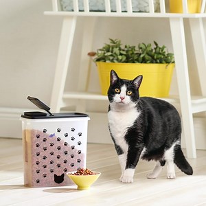 Are you fur real? It's #InternationalCatDay! 🐈✨ This month, we tip our hats to our furry friends with our Pet Food Dispenser featuring a cat or dog design. This large-capacity container holds 20 cups/4.8 L of your pet's favorite food and lets you see exactly how much is left at a glance. Contact your Independent Rep to learn more about the current specials in our August brochure! #tupperware #tupplife | Tupperware Brand