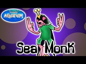 My Singing Monsters - Sea Monk (Atlantic Aquarium) (ANIMATED)