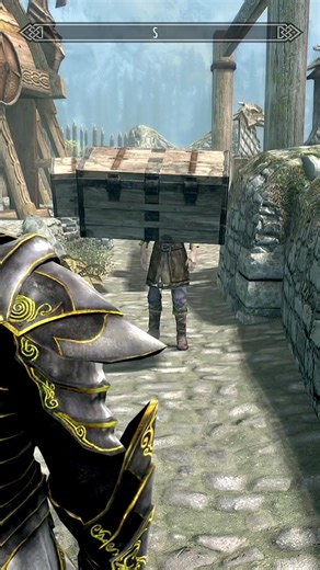 the courier in skyrim #skyrim #courier #theelderscrolls | skyrim