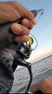 When the bite is slow these fish are one of my favorite fish to catch! #Fishing #florida #shimano #mullet #jackcrevalle | Fish Finatics