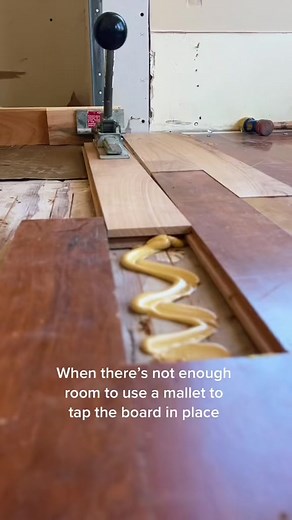 NikkiHardwood on TikTok