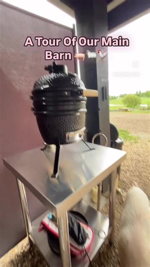 Welcome to Goldings Estate 🌾✨ A rare breeds farm set across 60 acres of Grade II listed countryside, where piglets, donkeys, sheep, chickens & goats roam freely. Stay in one of our quirky Airbnb cabins—each with its own unique interior and character. Rural, restful, and a little bit magical 🤍🐖#farm #hertford #hertforshirestays #farmlife