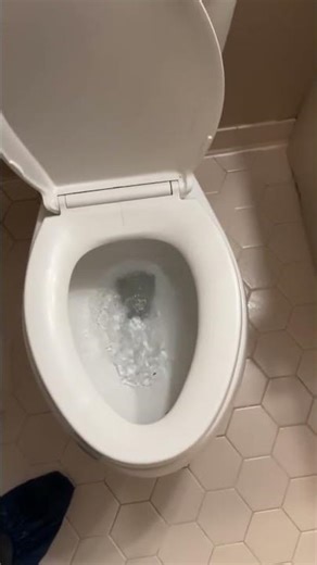 Jobs with Jayce: Toilet Blockage Cleared