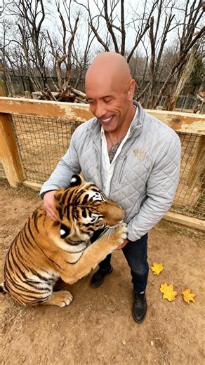 Muscular Man Cuddles 400lb Tiger Like A Puppy