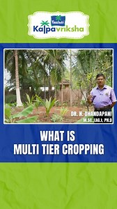 1.6K views · 91 reactions | Multi-tier cropping, also known as...