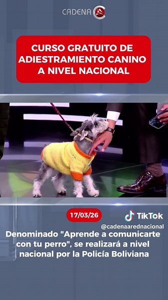 POLICÍA BOLIVIANA ANUNCIA CURSO GRATUITO DE ADIESTRAMIENTO CANINO A NIVEL NACIONAL Esta mañana, la Policía Boliviana visitó Cadena A e informó sobre el curso básico de adiestramiento canino “Aprende a comunicarte con tu perro”, una iniciativa gratuita que busca fortalecer el vínculo entre los dueños y sus mascotas. La capacitación será a nivel nacional, del 18 de marzo al 1 de abril, del 2026. #CadenaA #noticias #noticiasbolivia #cursogratuito #adiestramientocanino #policíaboliviana
