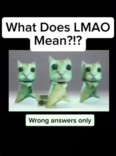 What does LMAO mean?!? 😭 #viral #viralvideo #shorts
