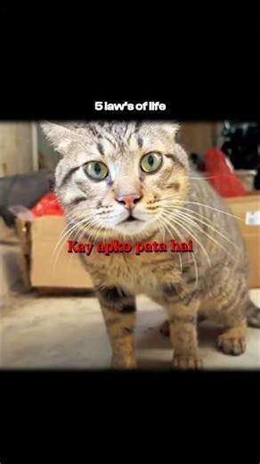 The Truth About Life 😳