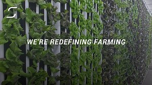 26K views · 17 reactions | We've designed the ultimate growing platform inside of a shipping container so anyone can grow food anywhere. | Freight Farms | Facebook