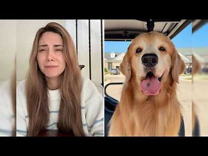 Tucker Budzyn Has Passed Away at 8 | Beloved Internet Dog Dies After Cancer Battle