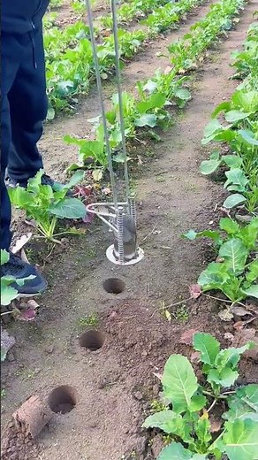 Testing the Soil Getting a closer look at what’s happening beneath the surface before planting