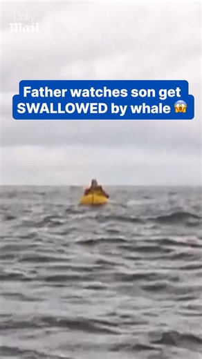 It swallowed him whole 😳 | Daily Mail Video