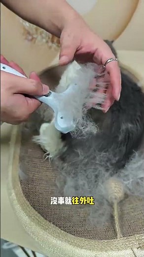 This Brush Removes SO MUCH FUR! 🤯 One-Click Self-Cleaning Pet Deshedding Tool