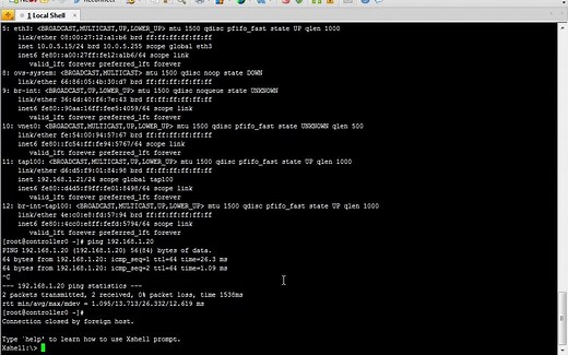 物理机连接openvswitch的虚拟机实例