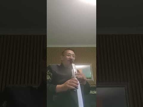 Cavatina (He was beautiful) Aerophone Ae20 Oboe Vib #Aerophone