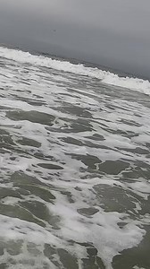 How I Succeed At Surfperch Fishing Sharpen Your Surfperch Spidey Senses Youtube.com/@VINCEGOESFISHING 10% OFF use code VINCEGOESFISHING at CaSurfFishing.com Join us on Facebook, California Surf Fishing (CSF) Follow on Instagram @casurffishing Free CSF Sticker CaSurfFishing.com Chase your dreams. 🎣 FISH SAFE! FISH LEGAL! FISH HARD! #VinceGoesFishing #surffishing #SanLuisObispoFishing #SoftCandy #BattlestarSoftCandy #PerchGrub #CarolinaRig #CaliforniaSurfFishing #CSF #BattlestarTackle #teambattle