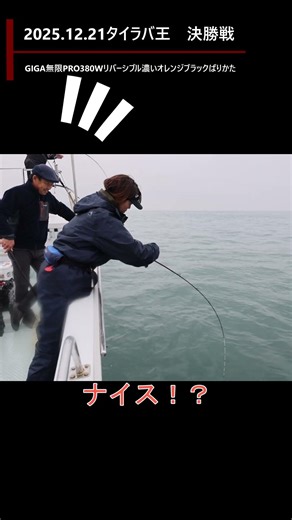 夫婦で自己記録更新‼ 奇跡のダブルヒット😳ロクマル同時ヒット…こんな事ある？バリカタシリーズ、結果出しすぎ #釣り #fishing #钓鱼 #타이라바 #shorts #松岡スペシャル