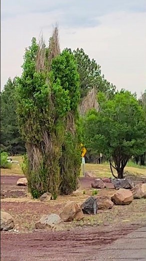 Belmont, Arizona — A Quiet Stop on Historic Route 66