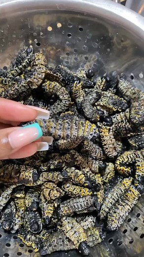 __mewawa__ on TikTok