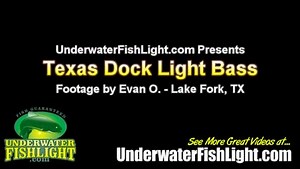 Underwater Fish Light on Reels