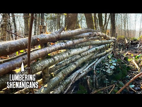 Making A Rustic Dead Hedge - Full Episode
