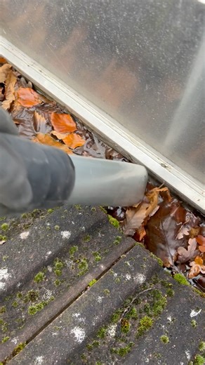 Prepare your home for winter with our Pre-Freeze Gutter Clean, including: ✔ Full debris removal ✔ Downpipe flush ✔ Photos on completion ✔ Winter-readiness check Don’t wait for leaks or overflowing gutters. Call or message today for a Free quote 07859 316564 https://surreymaintenance.co.uk/index.php/contact #GutterCleaning #AutumnMaintenance #HomeCare #Roofing #PropertyMaintenance | Surrey Maintenance
