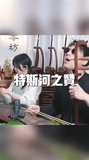 Exploring Traditional Chinese Music with Erhu and Guzheng