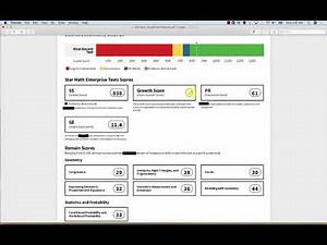 BADL Reading STAR Assessment Results