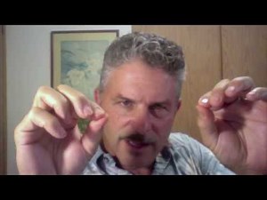 Ear Massage Routine for Wellness & Self Healing Part 2