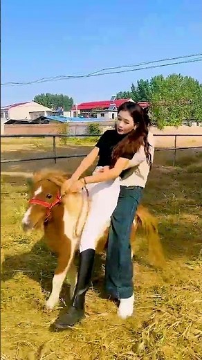 Raising Horses Where Strength Meets Kindness 56