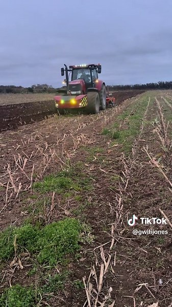 Efficient Maize Stubble Management with Terra Tech